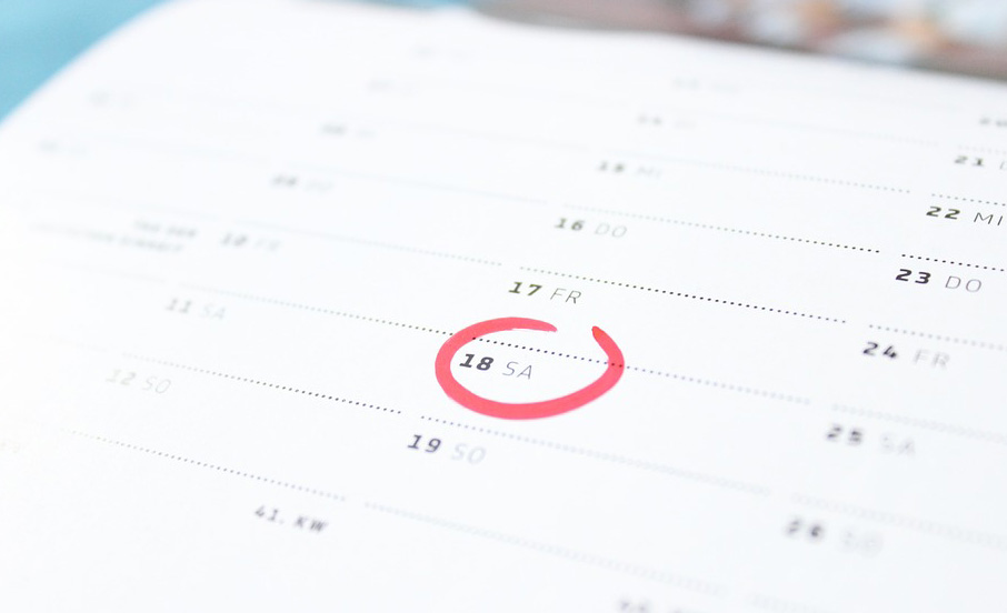 We-Haul-Movers-Moving-Day_Montreal-Moving-Company_We_Haul_Movers_5832_Boulevard_Saint-Laurent_Montreal_Quebec_H2T1T3_Plateau-Mont-Royal_514-846-8080